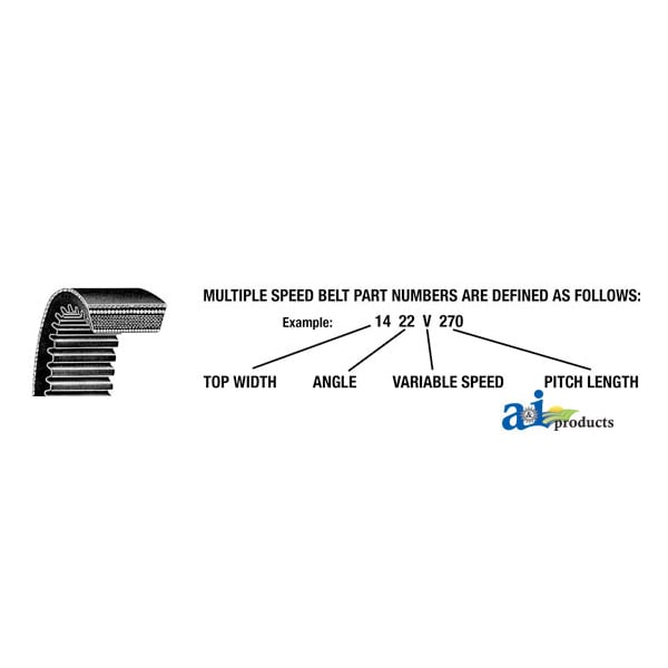 Multiple Speed Belt (2 3/4" X 71") 27" x13" x2.7"
